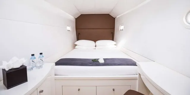 MAGIC CAT - Image 10