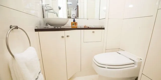 MAGIC CAT - Image 12