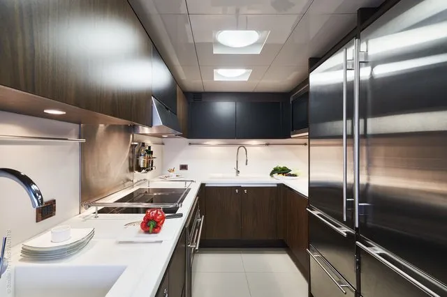 SEA SHELL - Image 13