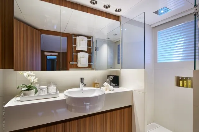 SEA SHELL - Image 19