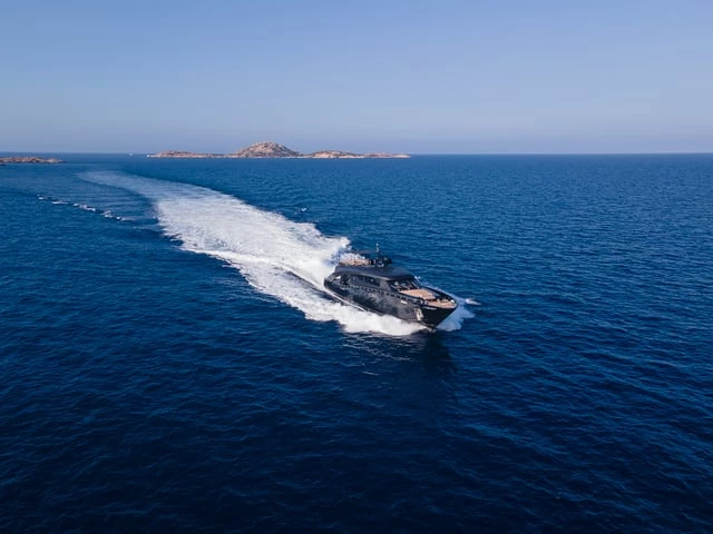 FREEDOM - Image 8