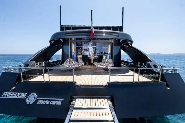 FREEDOM - Image 12