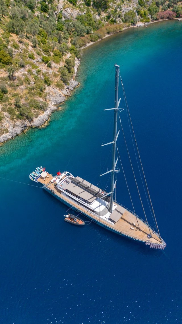 NORTH WIND - Image 12