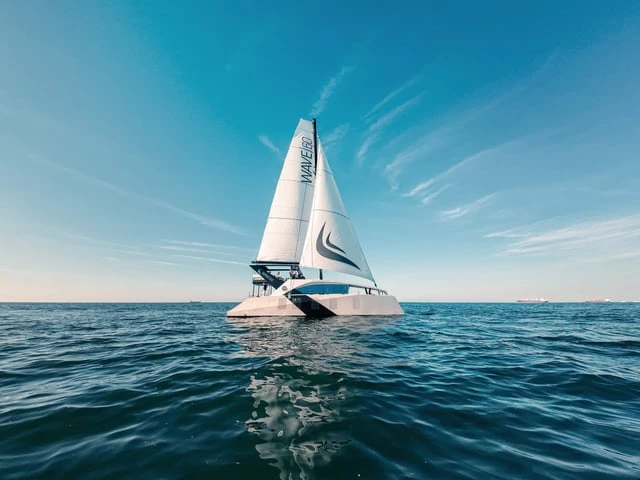 SUMMER - Image 5