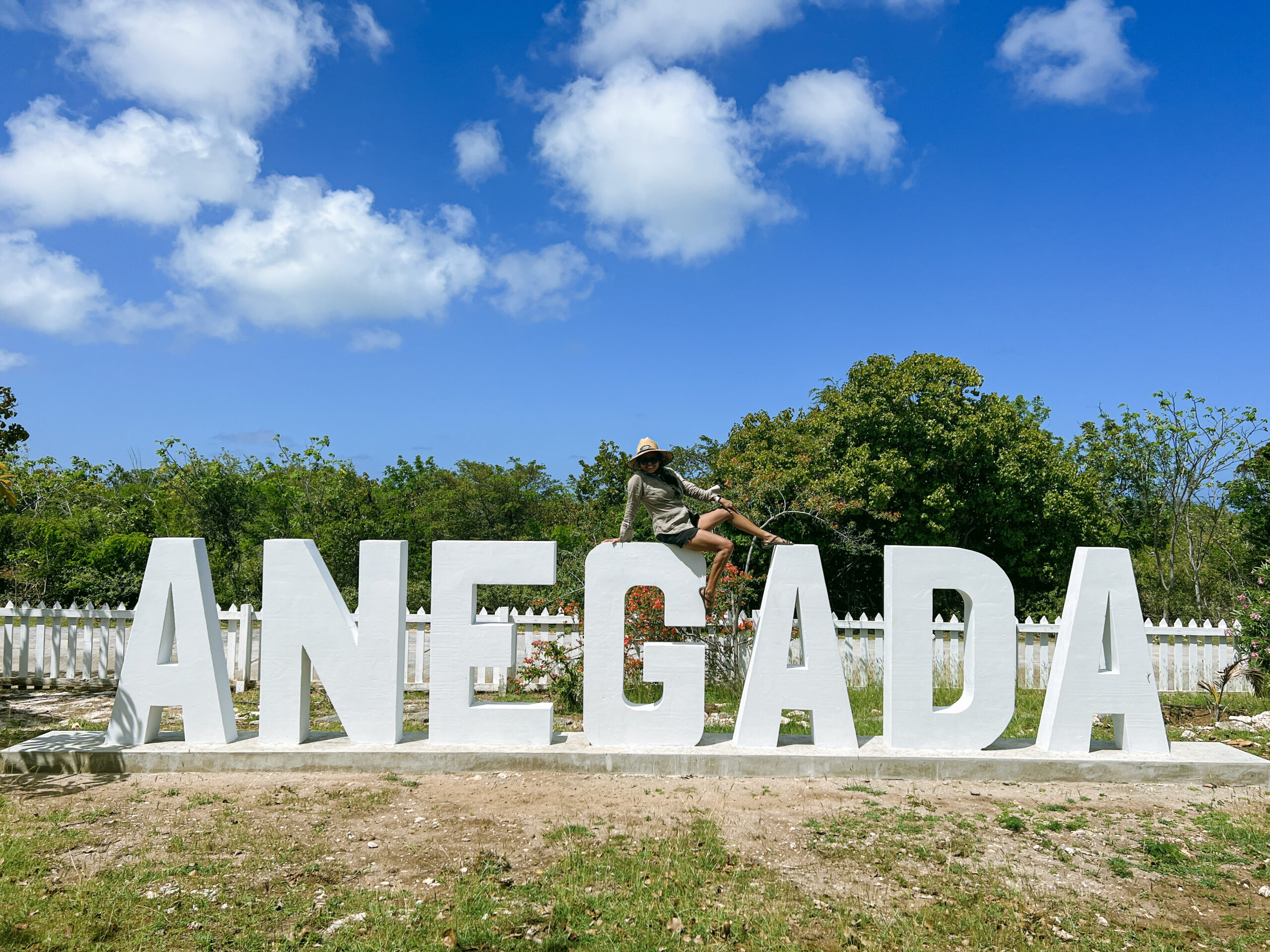 Anegada
