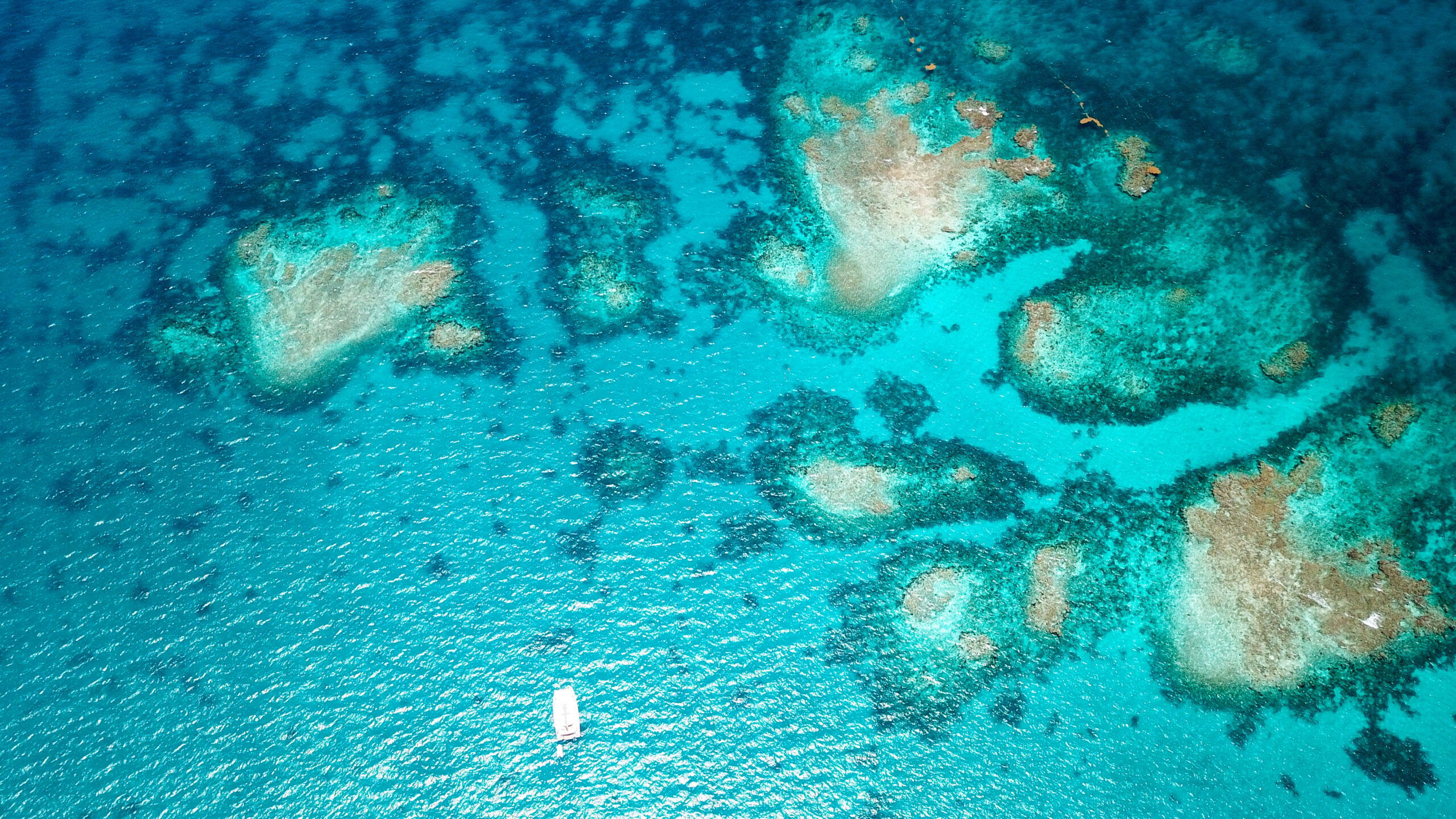 Horse Shoe Reef at Anegada
