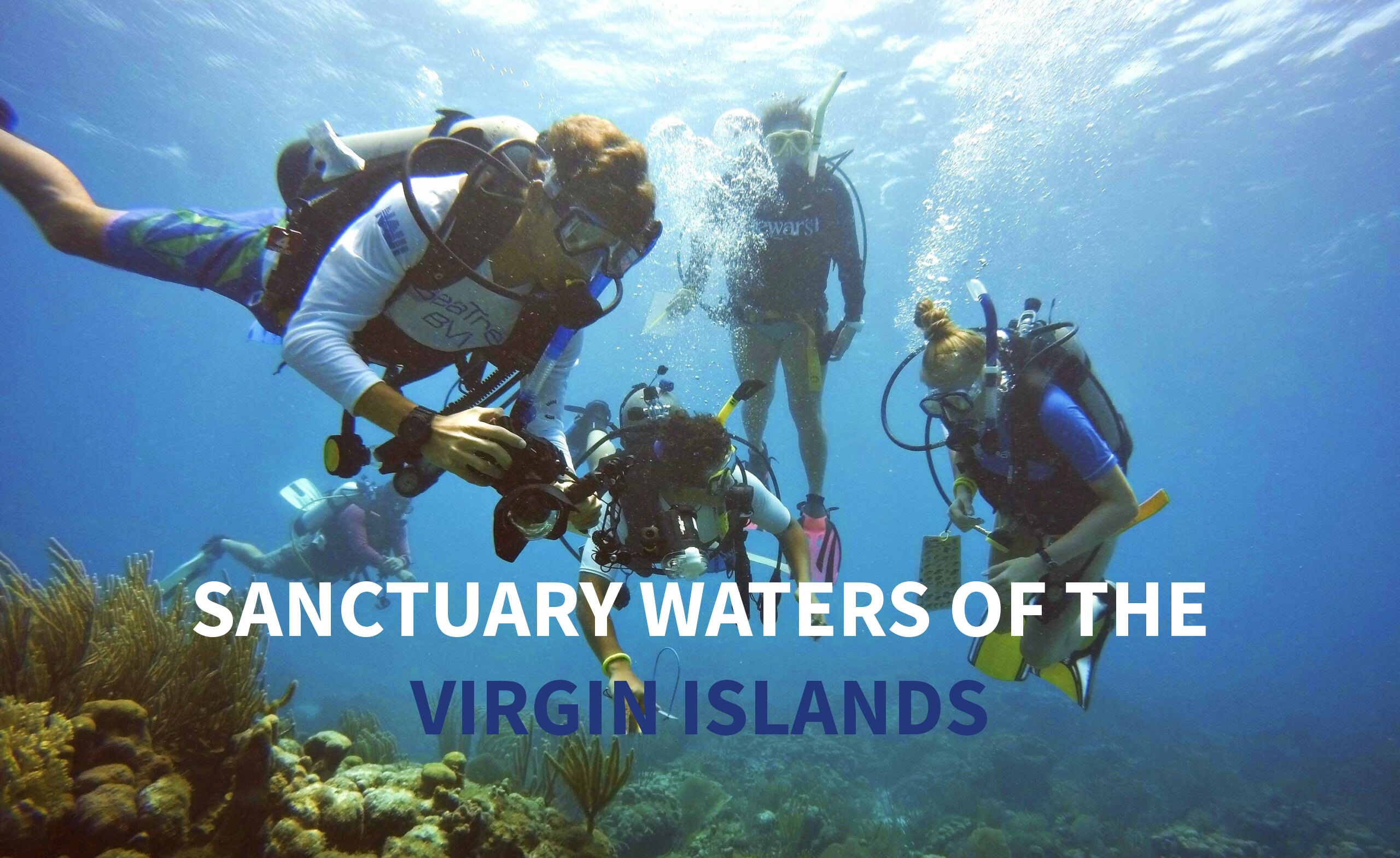 Sanctuary Waters