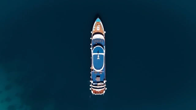 ALPHA - Image 5