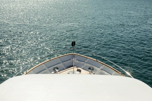 SEA RAES - Image 4